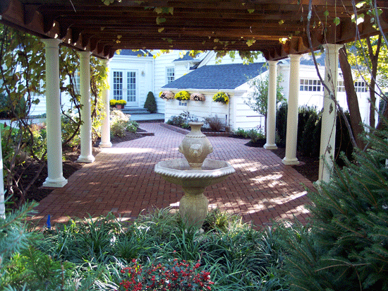 Garden Pergola with Grape Vines