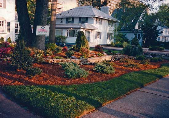 Landscape In a Commercially Zoned Area in Hackensack