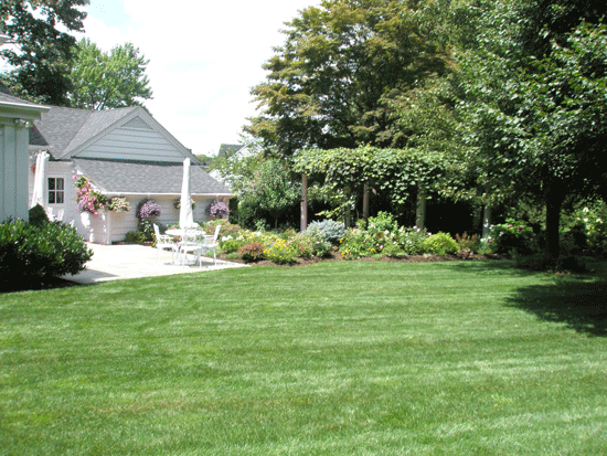 Lawn & Shrub Treatment Program