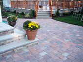 Patio, steps and Landscape