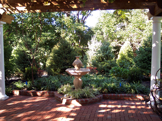 Patio Under Pergola Landscaping