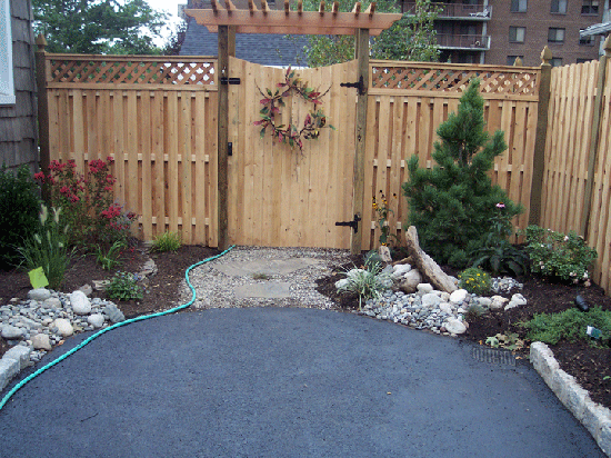 Pergola Garden Gate First Year