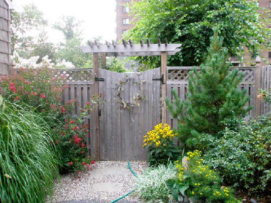 Pergola Garden Gate Second Year