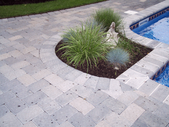 Poolside Landscape